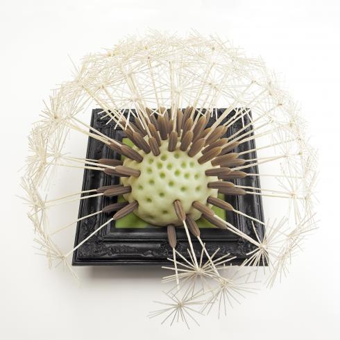 Dandelion Clock