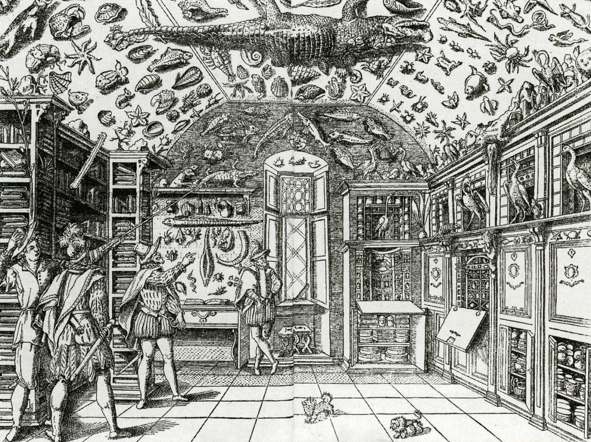 Ferrante Imperato, Room of Curiosities (Wunderkammer), 1559, Naples, Italy