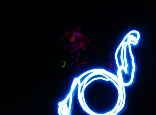 Photograph highlighting the silhouette of student using neon lights. 